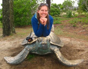 sillytortois profile photo