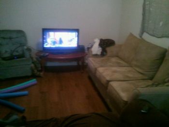 Falconess profile photo