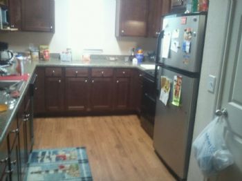 Falconess profile photo