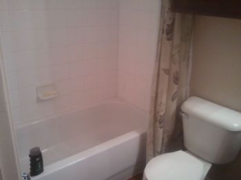 Falconess profile photo