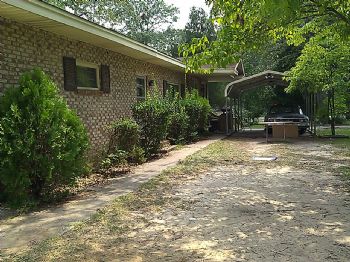 Lizi.black5 profile photo