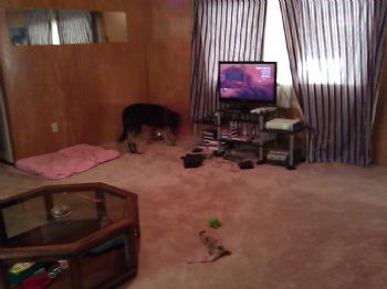 Lizi.black5 profile photo