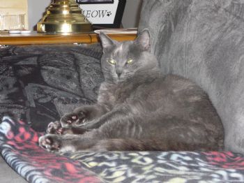 Gemini67 profile photo