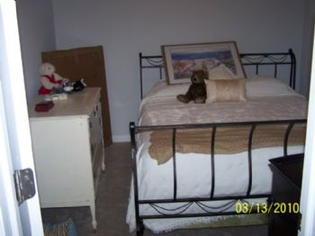 grneyes56 profile photo