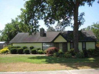 beelogue profile photo