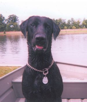 alexkaz profile photo