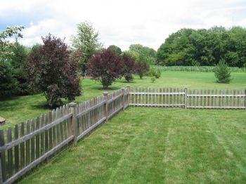 DaveAmy profile photo