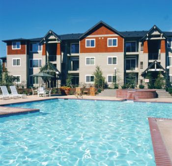 amazony71 profile photo