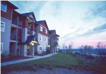 amazony71 profile photo