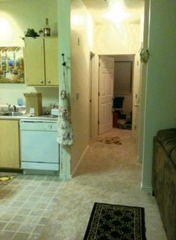 amazony71 profile photo