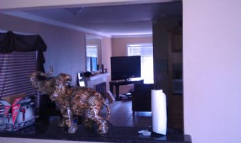 XXIIBIGG profile photo