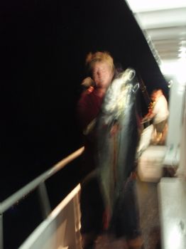 james.apc profile photo