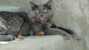 christal1222 profile photo