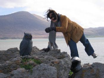 sdelvino profile photo