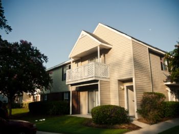 leowang profile photo