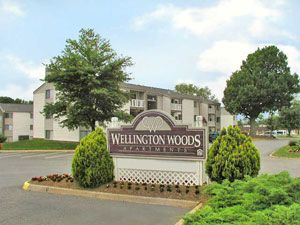 nizar464 profile photo