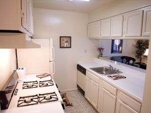 nizar464 profile photo