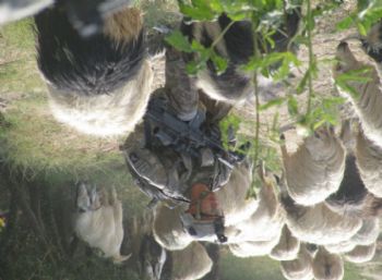 PeaceCutz profile photo