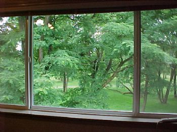 happy55 profile photo