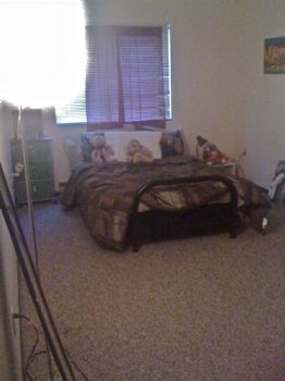 plainsarah profile photo