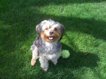 memills1 profile photo