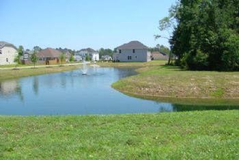 JC5025 profile photo