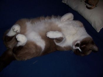 Mandy26 profile photo