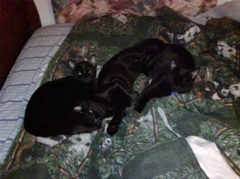 AAdams24 profile photo