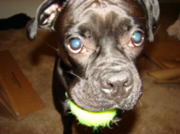 jmull21@yaho profile photo