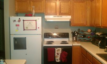 sami390 profile photo