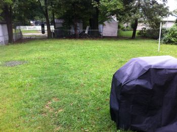 meursault profile photo