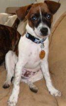 jshart1187 profile photo