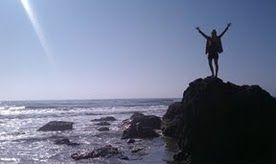 llimbird profile photo