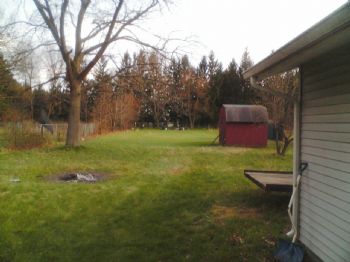 grimor profile photo