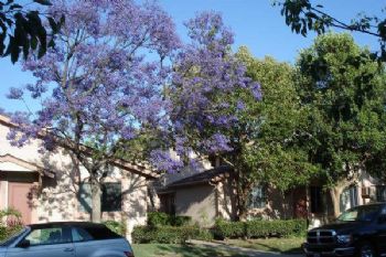 amandalb79 profile photo