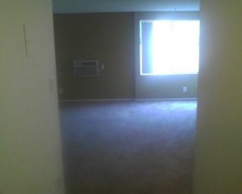 desireeA profile photo