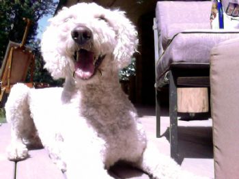 insanica profile photo