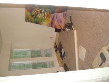 kkinney profile photo