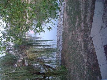 kkinney profile photo