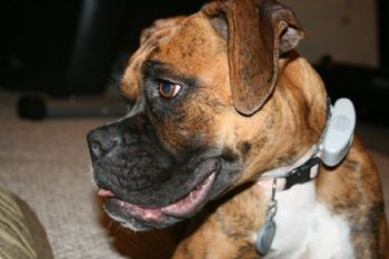 bf901686 profile photo