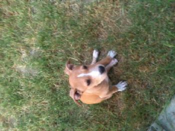 mnstokes profile photo