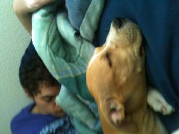 mnstokes profile photo