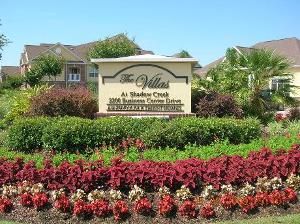 SHIRAYAJACKS profile photo