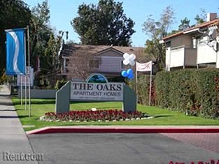 Shaun1987 profile photo