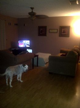 aliciaL77 profile photo