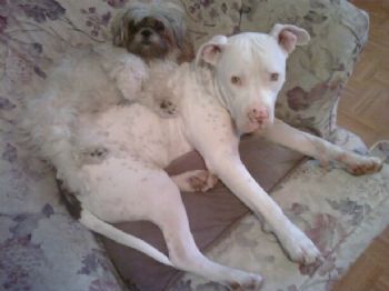 RonLTOWN profile photo