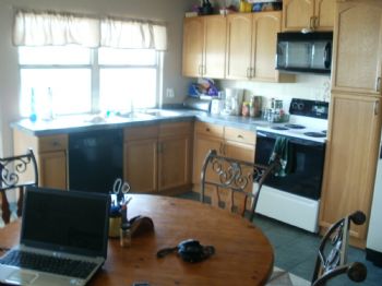 alexmcbrid profile photo