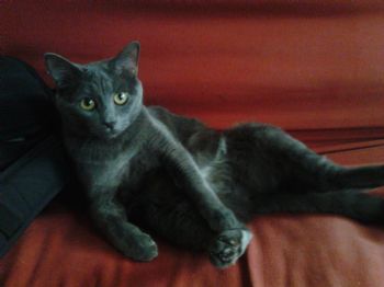 cieraann profile photo