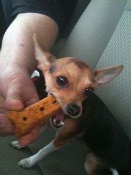 DevVie91 profile photo