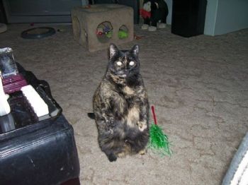 KPugly profile photo